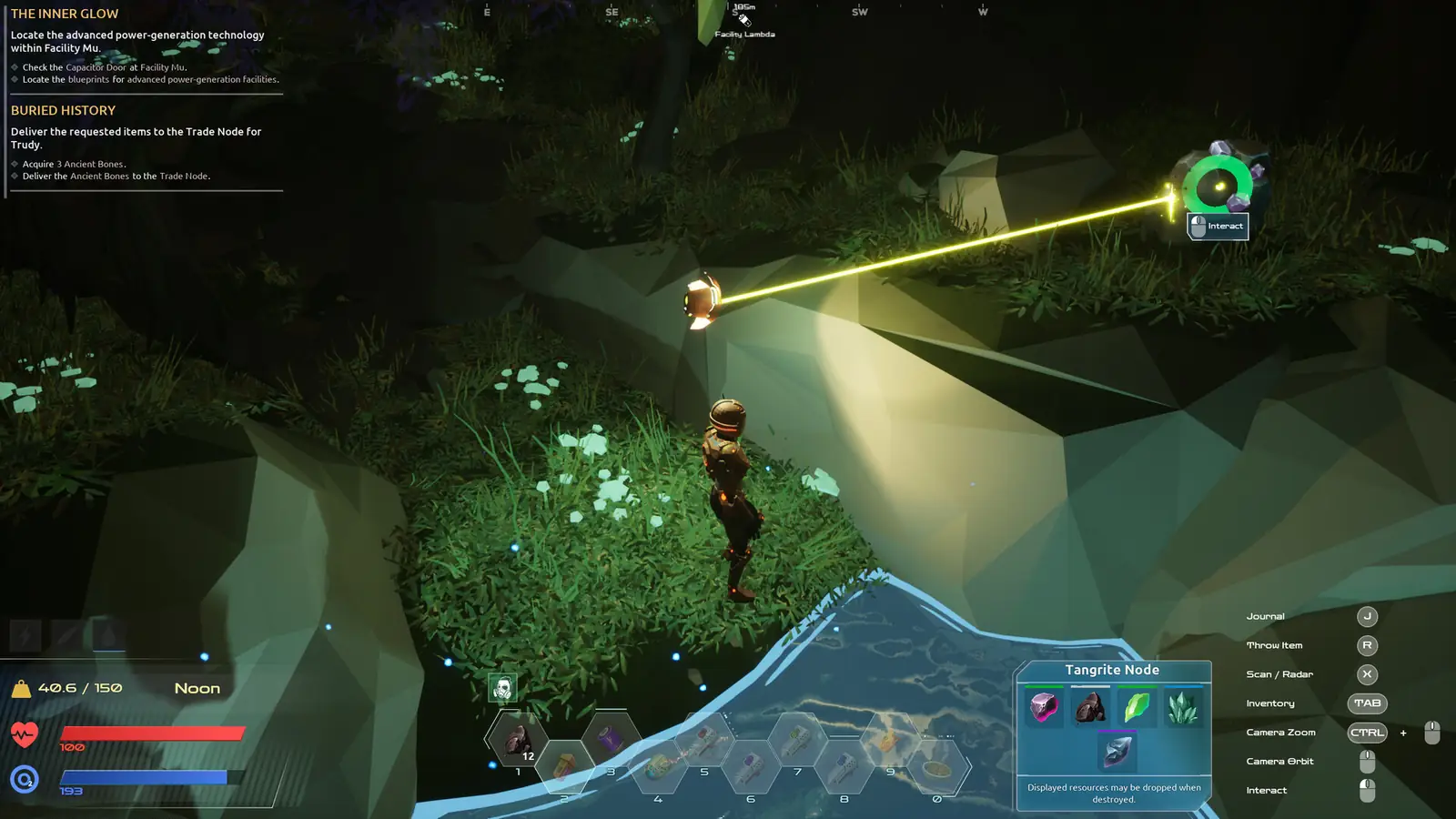 Glowing plants and low-poly rock in a canyon basin